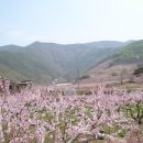 욱일농장 이미지