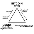 스테이블 코인 사용이 계속 늘 것 이미지