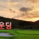 대유스카이 이미지