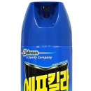 담앤드솜(DAMANDSOM)