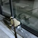 꽃섬&불낙원 | [11월 월간 일기] 취업 후기와 재택근무 주간