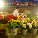 꽃파는아저씨 앞 이미지