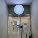 고로캣 고양이카페 이미지
