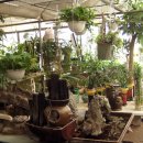 수주초등학교 이미지