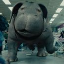 미란코퍼레이션 이미지