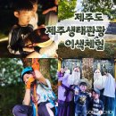 남극노인성 | 제주 이색체험 생태관광 세계지질공원 남극노인성축제