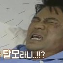 지니스칼프 이미지