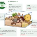 산타클라라동물병원 이미지