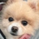 일출추어탕 이미지