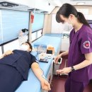 연세대학교의과대학세브란스병원 이미지