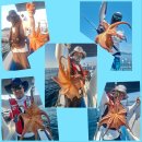 통영 돌문어 출조 리얼 후기! 삼여캡틴의 고군분투🎣