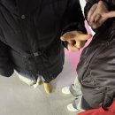 테르엔차암점 | [천안 효소찜질] 테르엔 차암점 방문후기