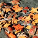 구로-구로-구로-3027 이미지