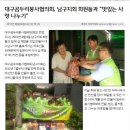 코리아뉴스