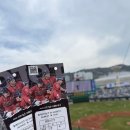 057 | 사직야구장 057블럭 3열 시야후기(중앙상단석 좌석리뷰+레드데이)