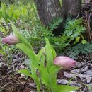 복 농장 이미지