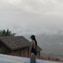 VIET NAM 당구장 | [하노이 여행 2일차] 사파에서 살아남기, 사파 에코팜하우스(Eco palms house), 별안간 아무것도 안하는...