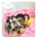 베베그루밍 이미지