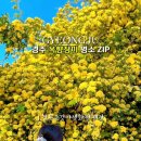 청옥조경야생화