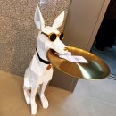 애플모텔 | 남양주시 신상모텔 추천 "호텔 정원에서" 특실 숙박 만족후기