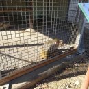 경상남도수목원박물관 이미지