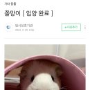 동물보육원 천안지부 이미지