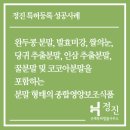 정진종합식품 네이버블로그