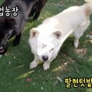 팔현농장 이미지