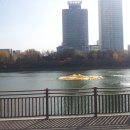 신도2교차로 1 이미지