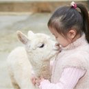 모노레일 하차장 화장실 네이버블로그