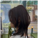 헤어바이지윤