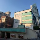 쪼꼼 | 복부 MPL 지방분해주사 5회차종료 상상하던대로 식단/운동 없이 뱃살 없애기 성공한 내돈내산 후기