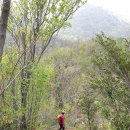 해남군-04 이미지