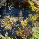 연못들3 이미지