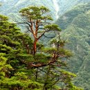 풍경의 바다 이미지