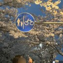 신정호수공원-6 이미지