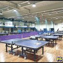 시흥시전용탁구장 이미지