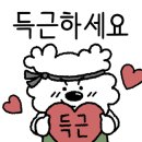 크로스핏 칸 이미지