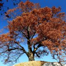 부여(백제)-02 이미지