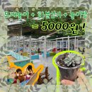 명정농장 | 전북 임실 무료 키즈카페 명정원예 하나농장 모래놀이 화분심기