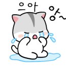 당감시장 이미지