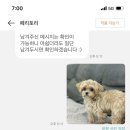 페리토리 이미지