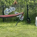 [방문후기] 광주 _ 애견카페 / Cafe GpS/ 광주 대형견 애견동반카페 추천 / 내돈내산(?) 후기