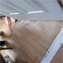 인천복지용구센터 | 함께 걷는 인천복지용구, 미소인방문요양센터의 특별한 하루