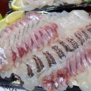 신바다회천국 이미지