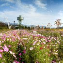 황산공원 이미지