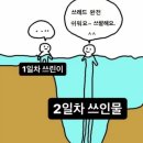 따봉 PC | [SNS 공부] 할미의 스레드 한달 해본 소감과 후기