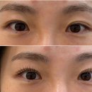 제니뷰티앤웰니스 | #마이제니뷰티 신사점 | 자연스러운데 드라마틱한 속눈썹펌 후기👁️