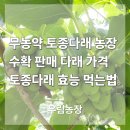 다래1농장 | 2025 토종다래판매 토종다래 효능 다래먹는법 토종다래전문농장 추석선물추천