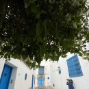＜튀니지 18＞ 튀니스 Tunis(시디 부 사이드) - 24. 4. 16. 이미지
